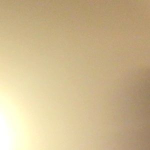 Meet your Posher, Elwin